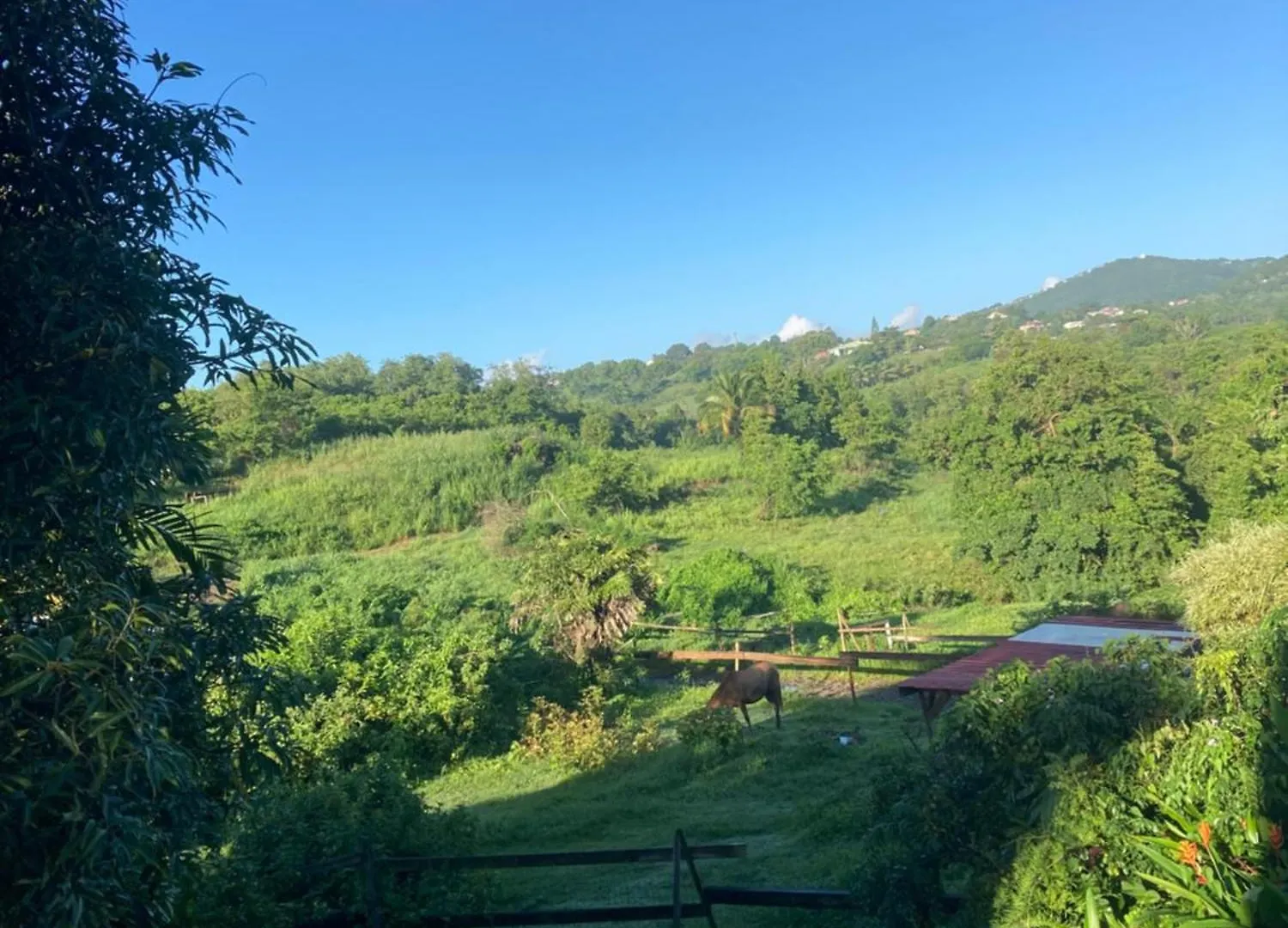 Grand T2 Tout Confort , Emplacement Ideal Riviere-Salee Martinique